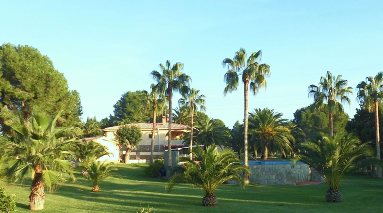 Castellón - Alcalá de Chivert - 13600m2