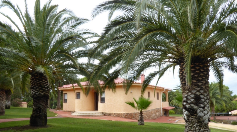 Castellón - Alcalá de Chivert - 13600m2
