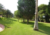 Villa con terreno en venta en Alcossebre ref: TR386705 foto
