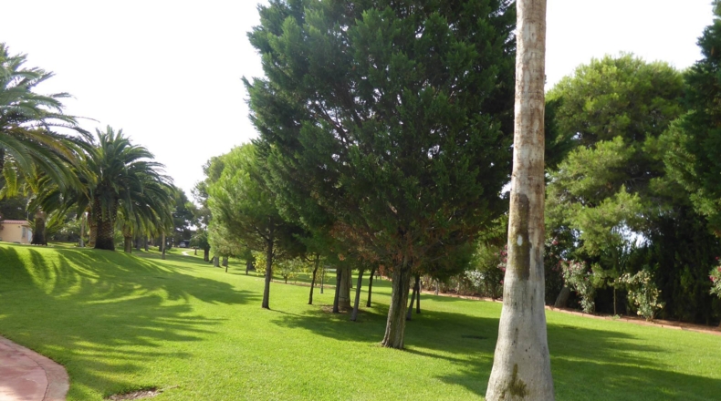 Castellón - Alcalá de Chivert - 13600m2