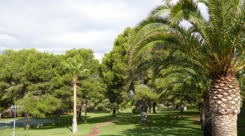 Castellón - Alcalá de Chivert - 13600m2