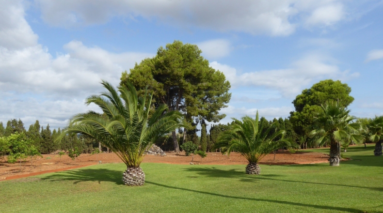 Castellón - Alcalá de Chivert - 13600m2