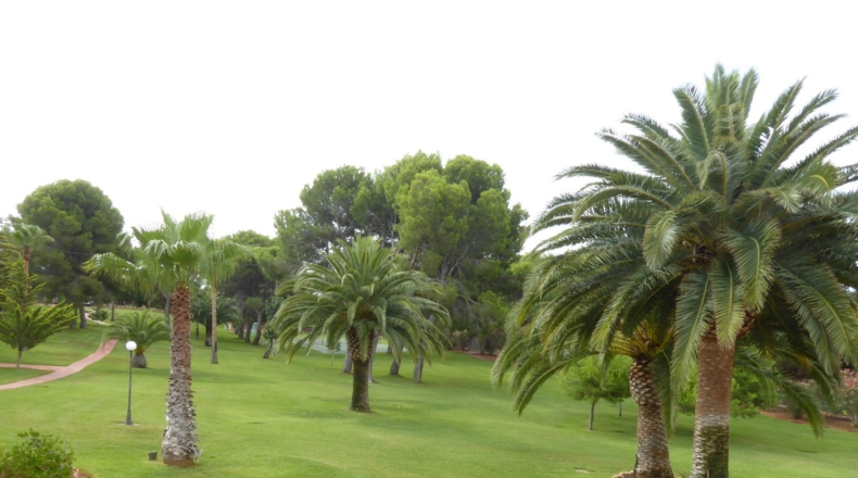 Castellón - Alcalá de Chivert - 13600m2