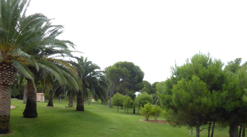Castellón - Alcalá de Chivert - 13600m2