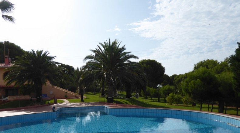 Castellón - Alcalá de Chivert - 13600m2
