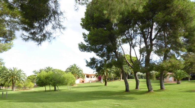 Castellón - Alcalá de Chivert - 13600m2