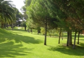 Villa con terreno en venta en Alcossebre ref: TR386705 foto