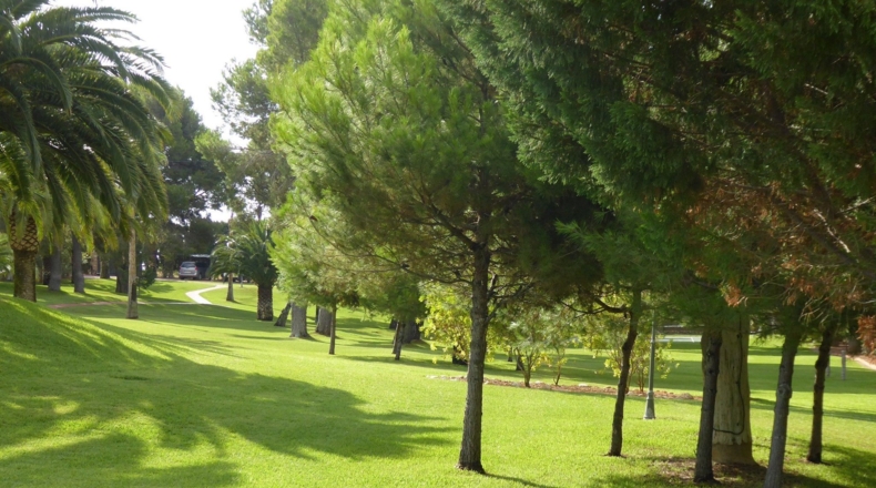 Castellón - Alcalá de Chivert - 13600m2