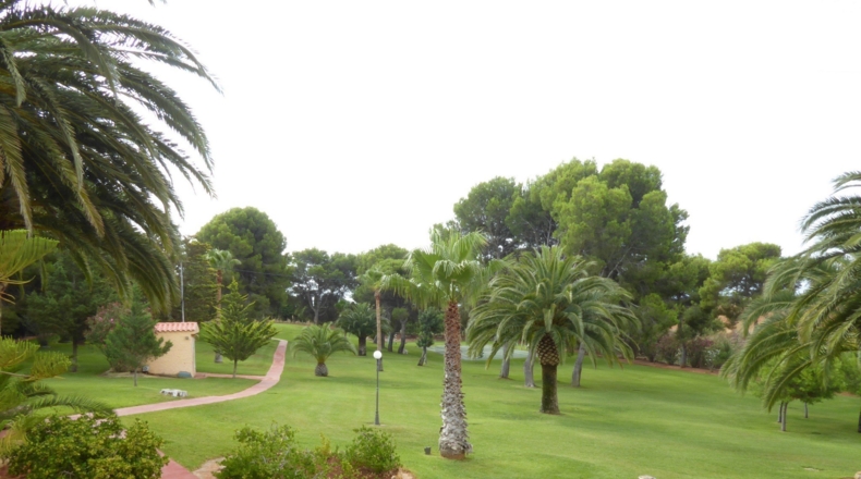 Castellón - Alcalá de Chivert - 13600m2