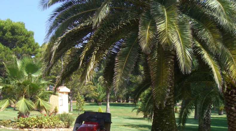 Castellón - Alcalá de Chivert - 13600m2