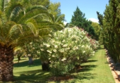 Villa con terreno en venta en Alcossebre ref: TR386705 foto