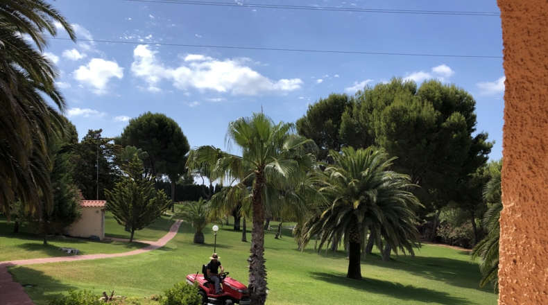 Castellón - Alcalá de Chivert - 13600m2