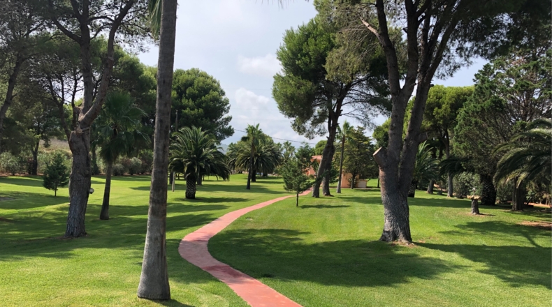 Castellón - Alcalá de Chivert - 13600m2