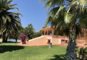 Villa con terreno en venta en Alcossebre ref: TR386705 foto