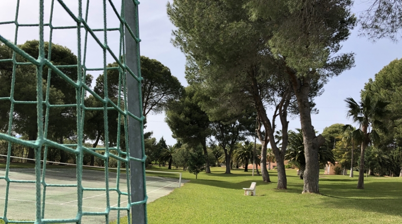 Castellón - Alcalá de Chivert - 13600m2
