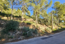 Alcossebre 4027&nbsp;m²