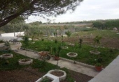 Terreno no urbanizable en venta en Torredonjimeno ref: TR385793 foto