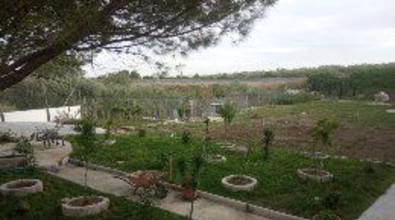 Хаэн - Torredonjimeno - 3500m2