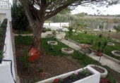 Terreno no urbanizable en venta en Torredonjimeno ref: TR385793 foto