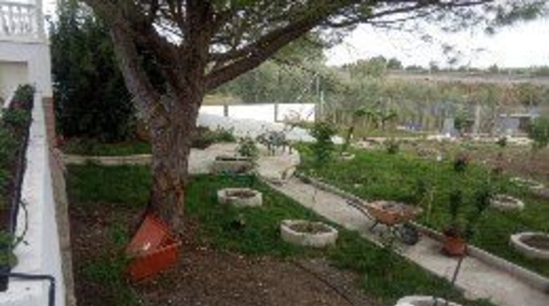 Хаэн - Torredonjimeno - 3500m2