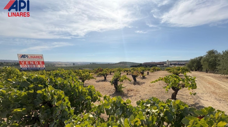 Jaén - Bailén - 3551m2