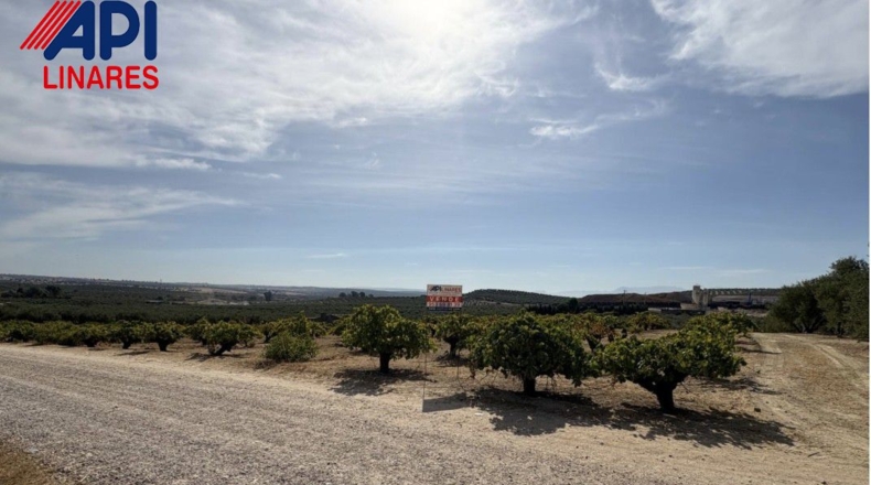 Jaén - Bailén - 3551m2