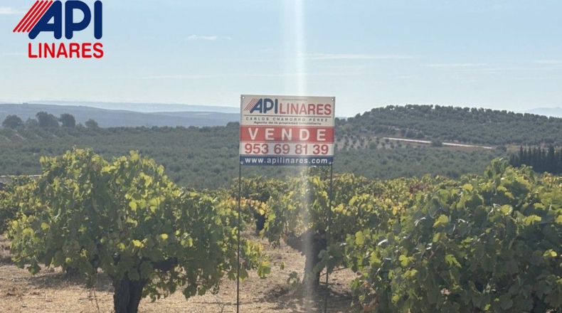 Jaén - Bailén - 3551m2