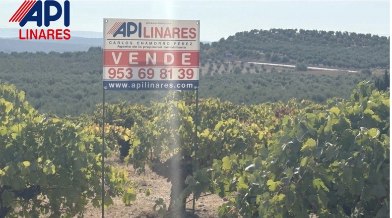 Jaén - Bailén - 3551m2