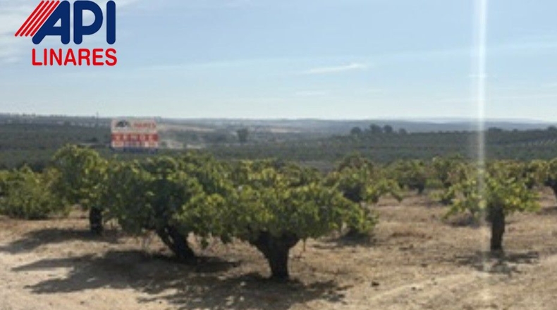 Jaén - Bailén - 3551m2