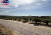 Terreny no urbanitzable en venda a Bailén ref.: TR386151 foto