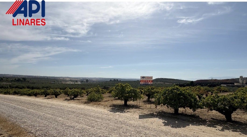 Jaén - Bailén - 3551m2
