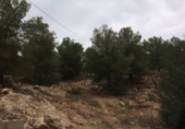 Urban land for sale in Olocau ref: TR385452 photo
