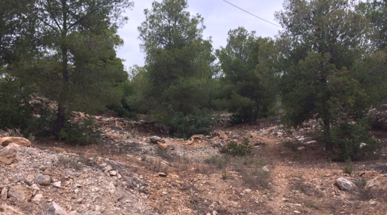 València - Olocau - 2075m2