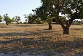 Sant Jaume d'Enveja 444&nbsp;м²