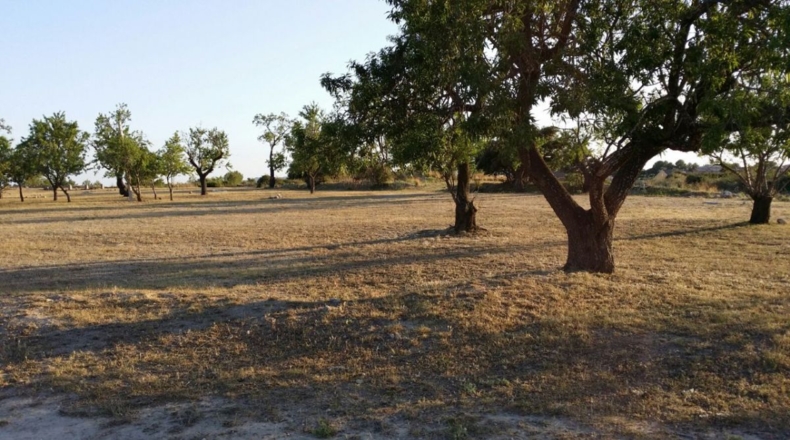 Tarragona - Sant Jaume d'Enveja - 444m2