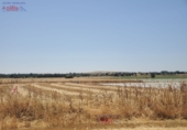 Non-developable land for sale in Ciudad Real ref: TR385914 photo