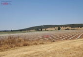 Non-developable land for sale in Ciudad Real ref: TR385914 photo