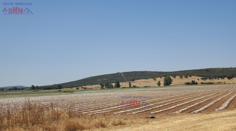 Ciudad Real - Ciudad Real - 4000000m2