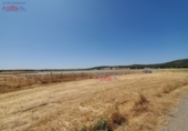 Non-developable land for sale in Ciudad Real ref: TR385914 photo