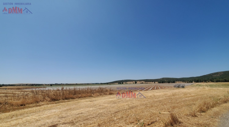 Ciudad Real - Ciudad Real - 4000000m2