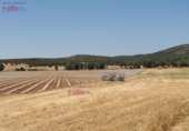 Non-developable land for sale in Ciudad Real ref: TR385914 photo