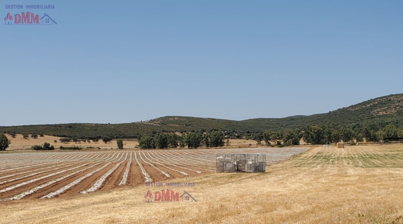 Ciudad Real - Ciudad Real - 4000000m2