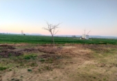 Отдельно стоящий дом с участком на продажу в городе Алькасар-де-Сан-Хуан. Фото