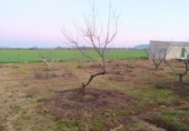 Отдельно стоящий дом с участком на продажу в городе Алькасар-де-Сан-Хуан. Фото