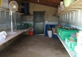 Отдельно стоящий дом с участком на продажу в городе Алькасар-де-Сан-Хуан. Фото