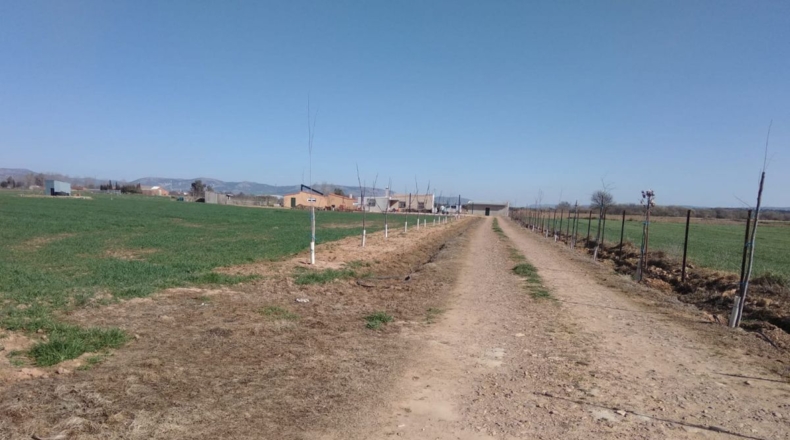 Toledo - La Guardia - 14945m2