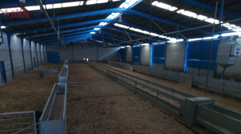 Ciudad Real - Фуэнте-эль-Фресно - 160000m2