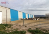 Rural estate for sale in Fuente el Fresno ref: TR386547 photo