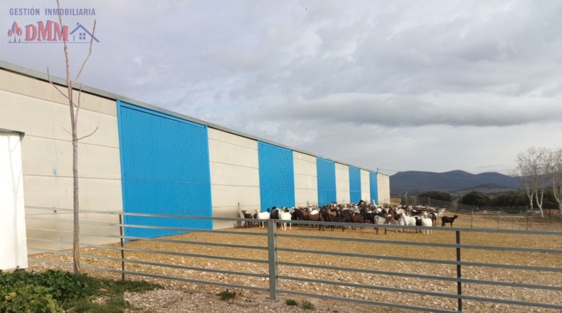 Ciudad Real - Фуэнте-эль-Фресно - 160000m2
