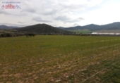 Rural estate for sale in Fuente el Fresno ref: TR386547 photo